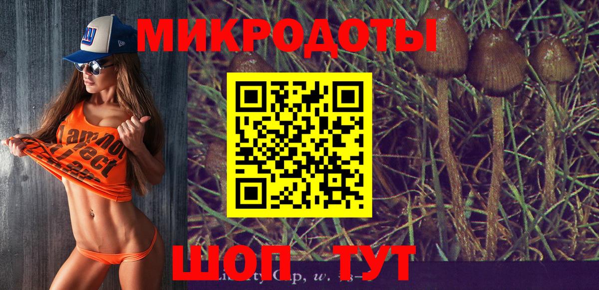 Псилоцибиновые грибы Psilocybe Узловая